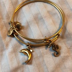 Set of 2 Sea Alex and Ani bracelets